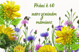 přání k 60 narozeninám mamince